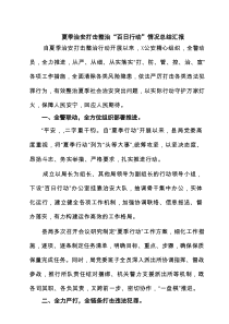 夏季治安打击整治“百日行动”情况总结汇报六篇专题资料