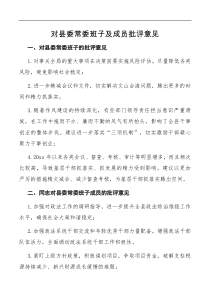 对县委常委班子及成员批评意见
