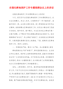 在强化耕地保护工作专题视频会议上的讲话