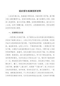 对照检查个人组织部长检查剖析材料