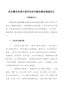 对照检查党员廉洁自律方面存在的问题及整改措施范文党委副书记