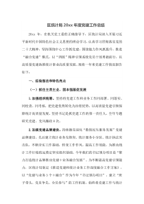区统计局20XX年度党建工作总结