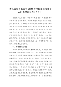 市人大秘书长关于2025年度民主生活会个人对照检视材料41