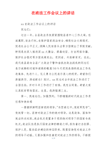 在政法工作会议上的讲话