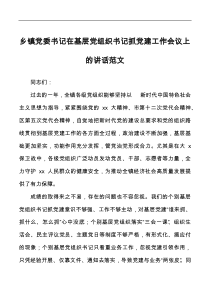 乡镇党委书记在基层党组织书记抓党建工作会议上的讲话