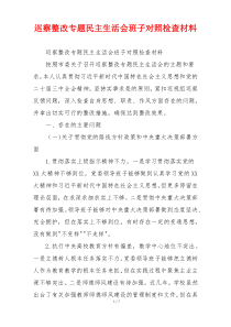 巡察整改专题民主生活会班子对照检查材料