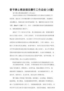 春节禁止燃放烟花爆竹工作总结（10篇）