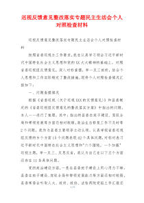 巡视反馈意见整改落实专题民主生活会个人对照检查材料