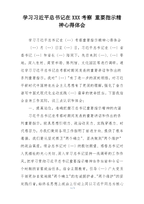 学习习近平总书记在XXX考察 重要指示精神心得体会