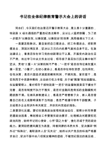 书记在全体纪律教育警示大会上的讲话