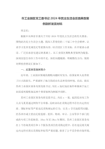 市工业园区党工委书记2025年民主生活会反面典型案例剖析发言材料