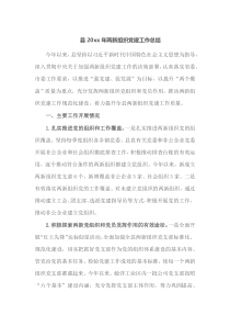 县20XX年两新组织党建工作总结