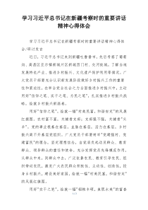 学习习近平总书记在新疆考察时的重要讲话精神心得体会