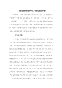 市文化和旅游局领导班子党性检视剖析材料