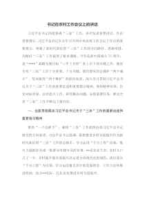 书记在农村工作会议上的讲话