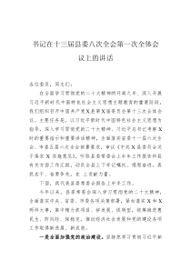 书记在十三届县委八次全会第一次全体会议上的讲话