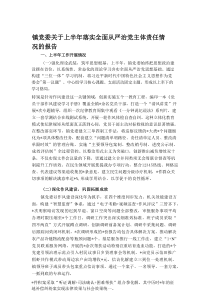 镇党委关于上半年落实全面从严治党主体责任情况的报告