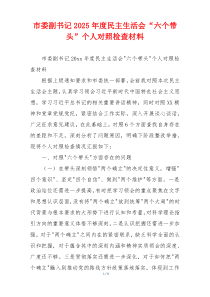 市委副书记2025年度民主生活会“六个带头”个人对照检查材料