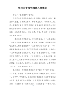 学习二十报告精神心得体会