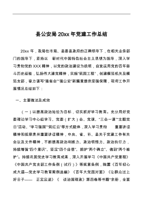 县公安局20XX年党建工作总结