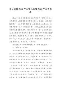 县公安局20XX年工作总结和20XX年工作思路