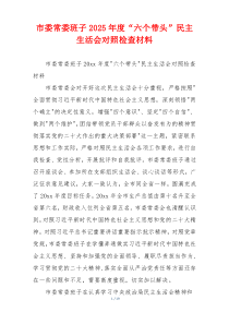 市委常委班子2025年度“六个带头”民主生活会对照检查材料