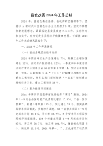 县发改委2024年工作总结