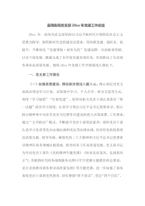 县商务局党支部20XX年党建工作总结