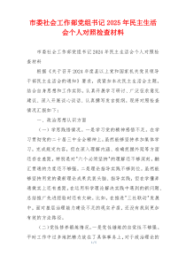 市委社会工作部党组书记2025年民主生活会个人对照检查材料