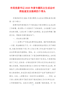 市局党委书记2025年度专题民主生活会对照检查发言提纲四个带头