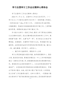 学习全国审计工作会议精神心得体会