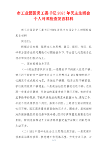 市工业园区党工委书记2025年民主生活会个人对照检查发言材料