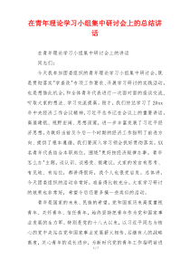 在青年理论学习小组集中研讨会上的总结讲话