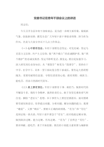 党委书记在青年干部会议上的讲话