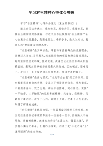 学习右玉精神心得体会整理