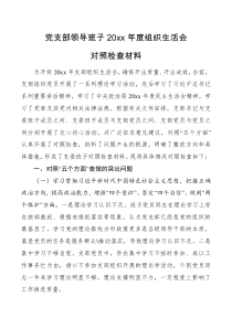 检查材料党支部领导班子20xx年度组织生活会对照检查材料