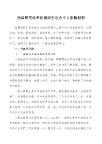 检查材料民政局党组书记组织生活会个人剖析材料
