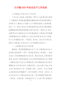 大川镇2025年安全生产工作总结