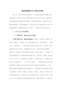 县应急管理局20XX年度工作总结
