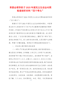 常委会领导班子2025年度民主生活会对照检查剖析材料“四个带头”