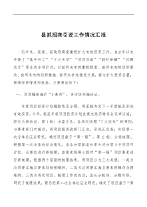 县抓招商引资工作情况汇报