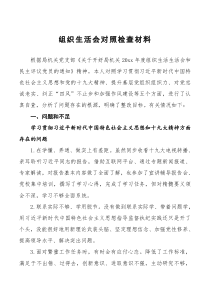 组织生活会对照检查材料第六篇通用