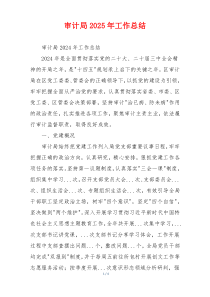 审计局2025年工作总结