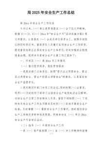局2025年安全生产工作总结