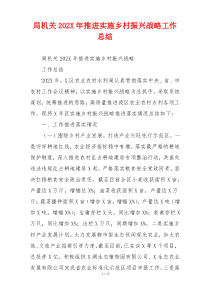 局机关202X年推进实施乡村振兴战略工作总结