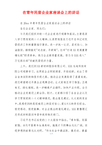 在青年民营企业家座谈会上的讲话