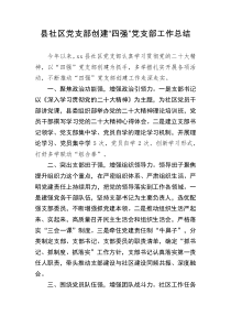 县社区党支部创建四强党支部工作总结汇报