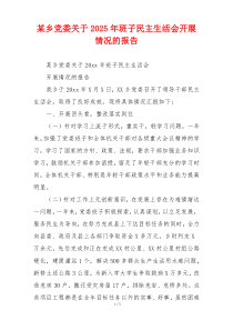 某乡党委关于2025年班子民主生活会开展情况的报告