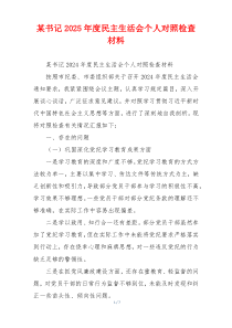 某书记2025年度民主生活会个人对照检查材料