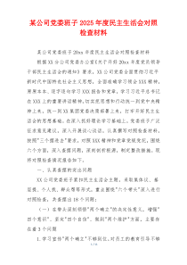 某公司党委班子2025年度民主生活会对照检查材料